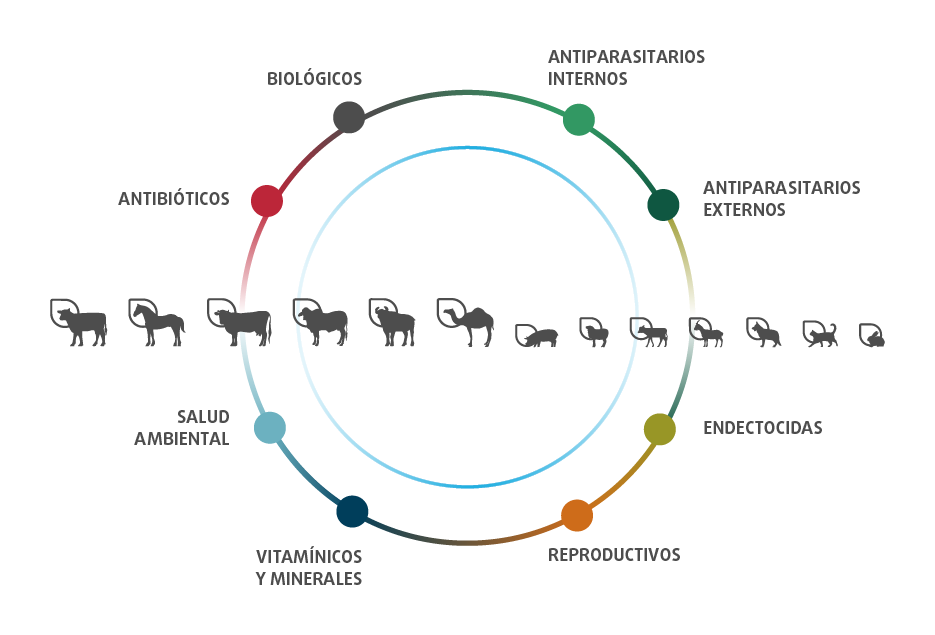 Portfolio de produtos